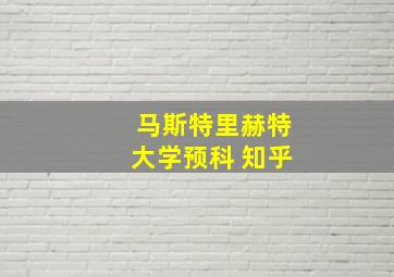 马斯特里赫特大学预科 知乎